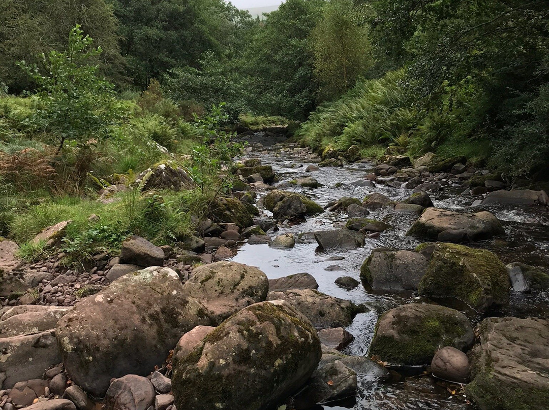 Lower Blaen y Glyn-Talybont-on-Usk必去景点