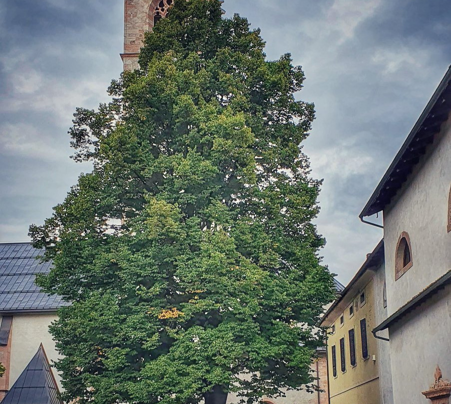 Chiesa Nativita di Maria-Pergine Valsugana必去景点