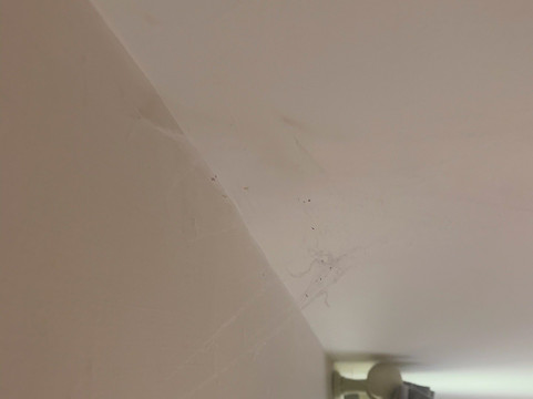 莱恩文德尔伯里酒店主图