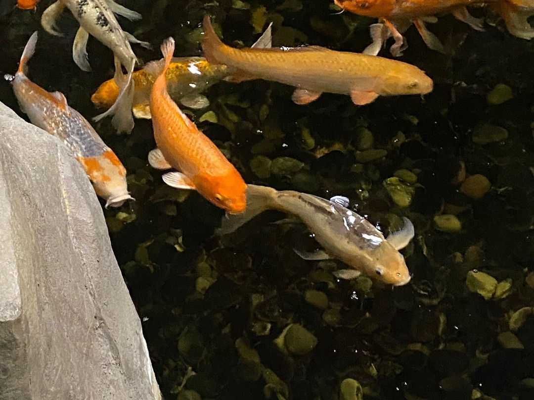 C'mon Inn of Casper主图