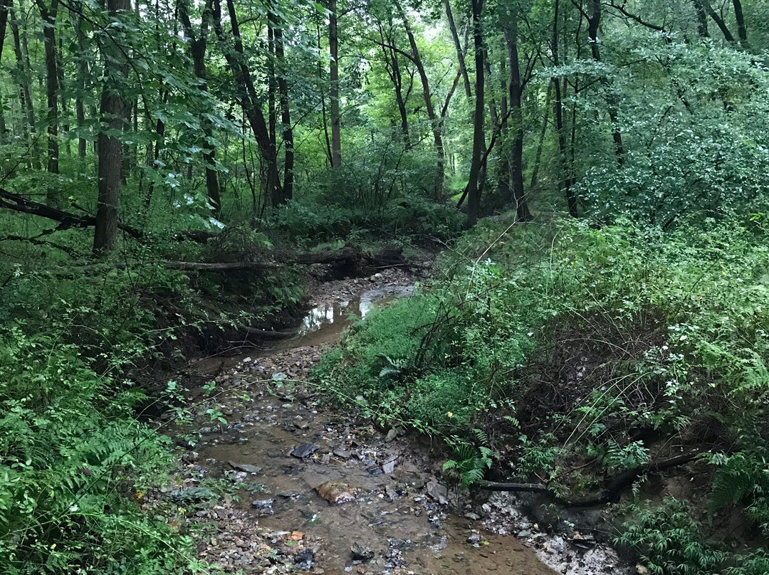 Rocks State Park-Jarrettsville必去景点