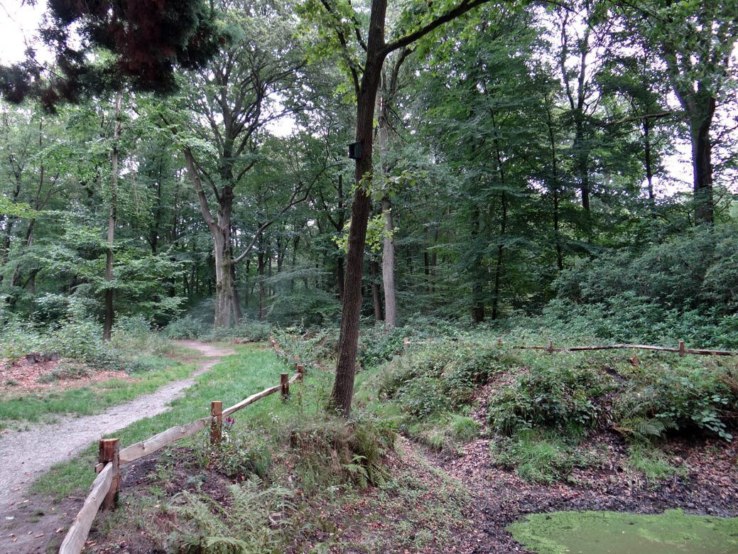 Lourdes Grot Driebergen-rijsenburg-Driebergen-Rijsenburg必去景点