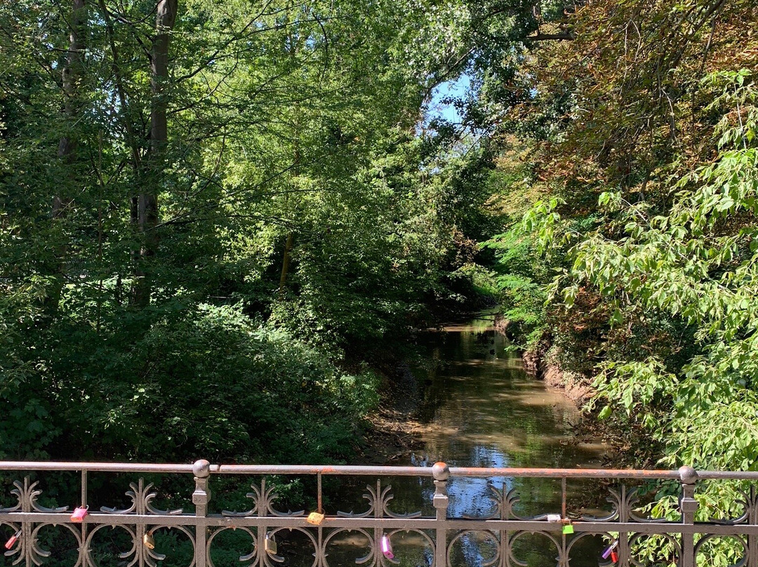 Stadtpark-Riesa必去景点