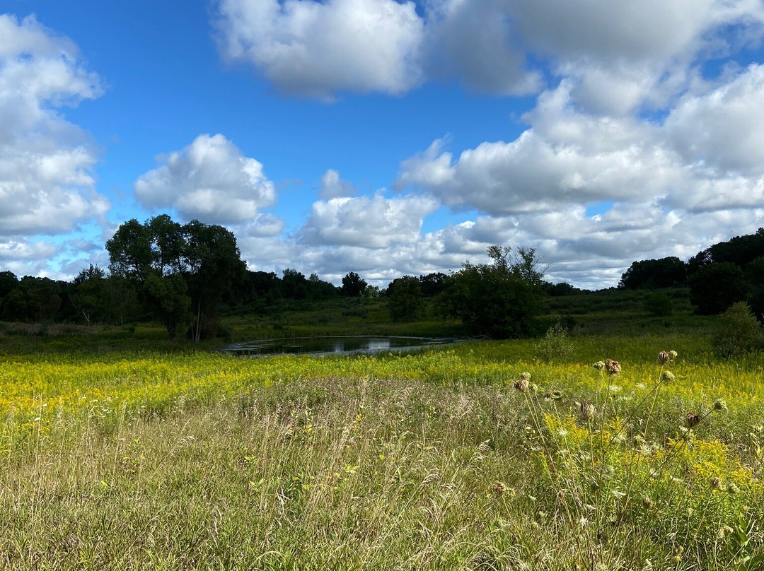 West Lake Preserve-Chelsea必去景点