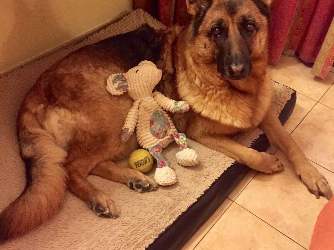 圣安德烈酒店主图