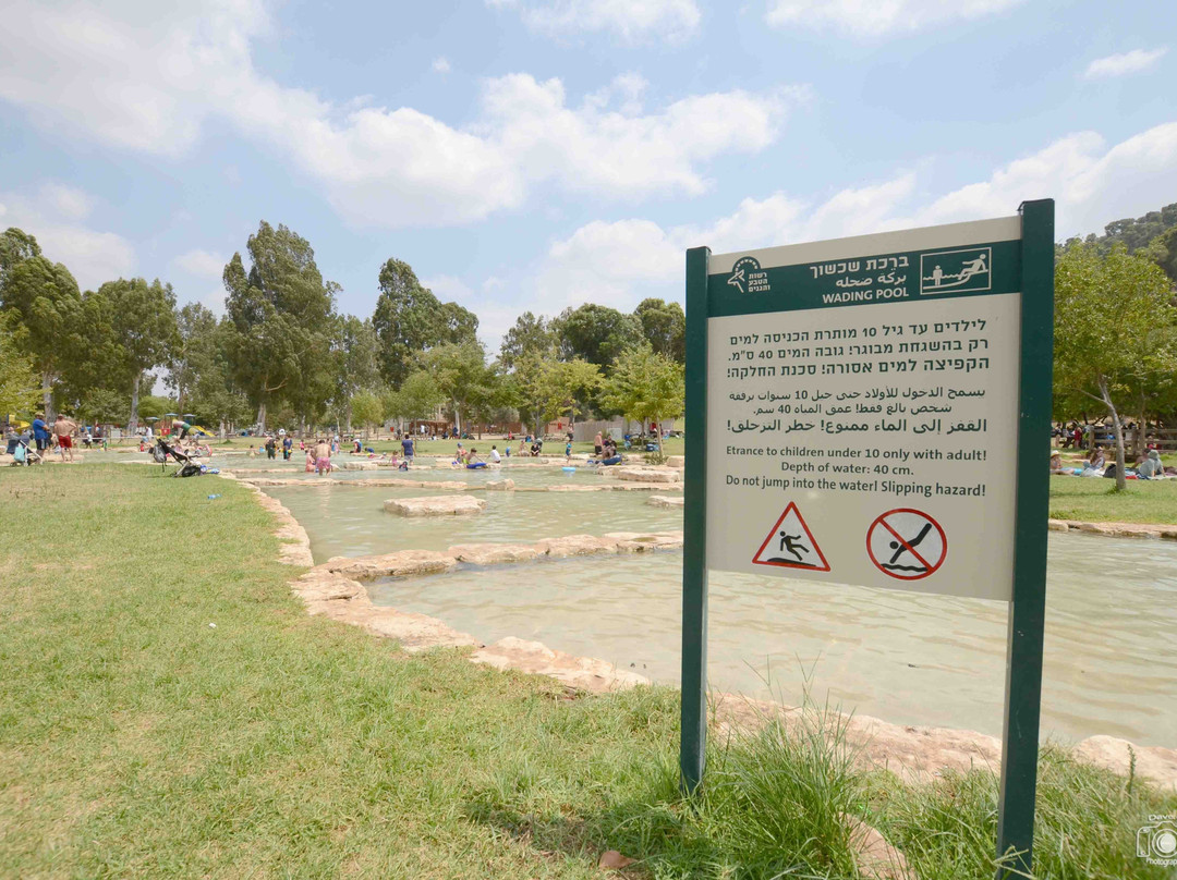 Ma'ayan Harod National Park景点图片