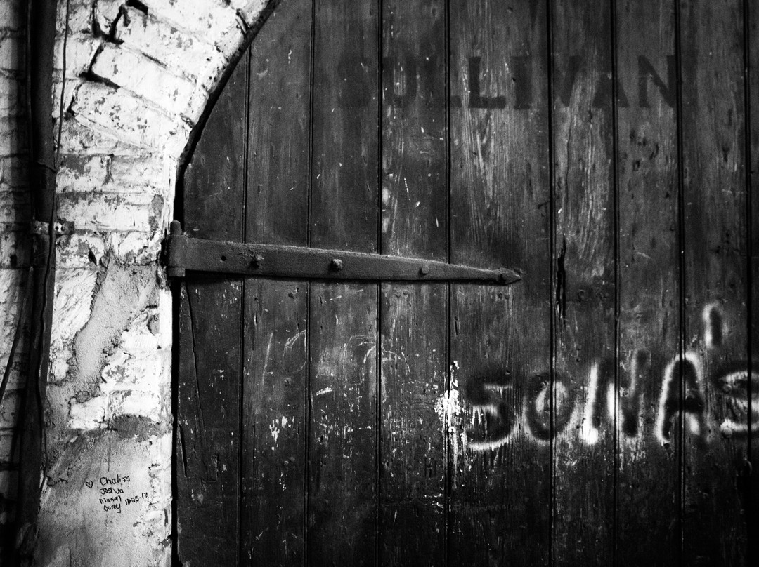 Savannah Terrors-萨凡纳必去景点