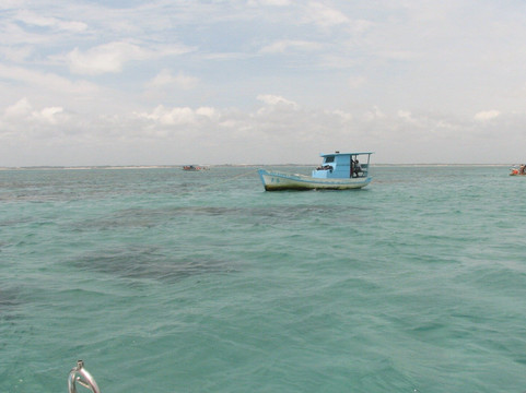 Gray Line Brazil-Natal必去景点