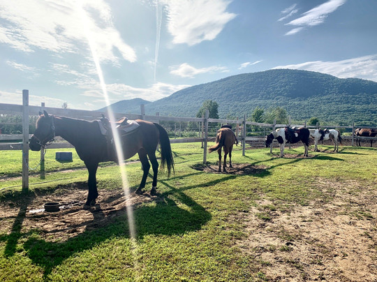 Centre d'Equitation Nouvelle-France-Saint-Jean-Baptiste必去景点