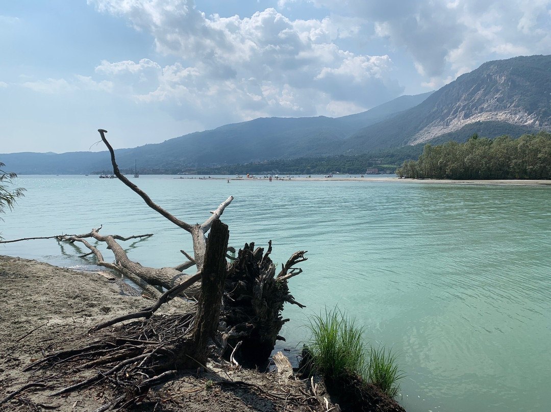 Fondo Toce Natural Reserve景点图片