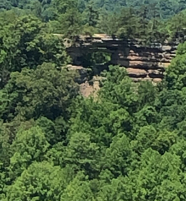 Auxier Ridge Trail #204-Slade必去景点