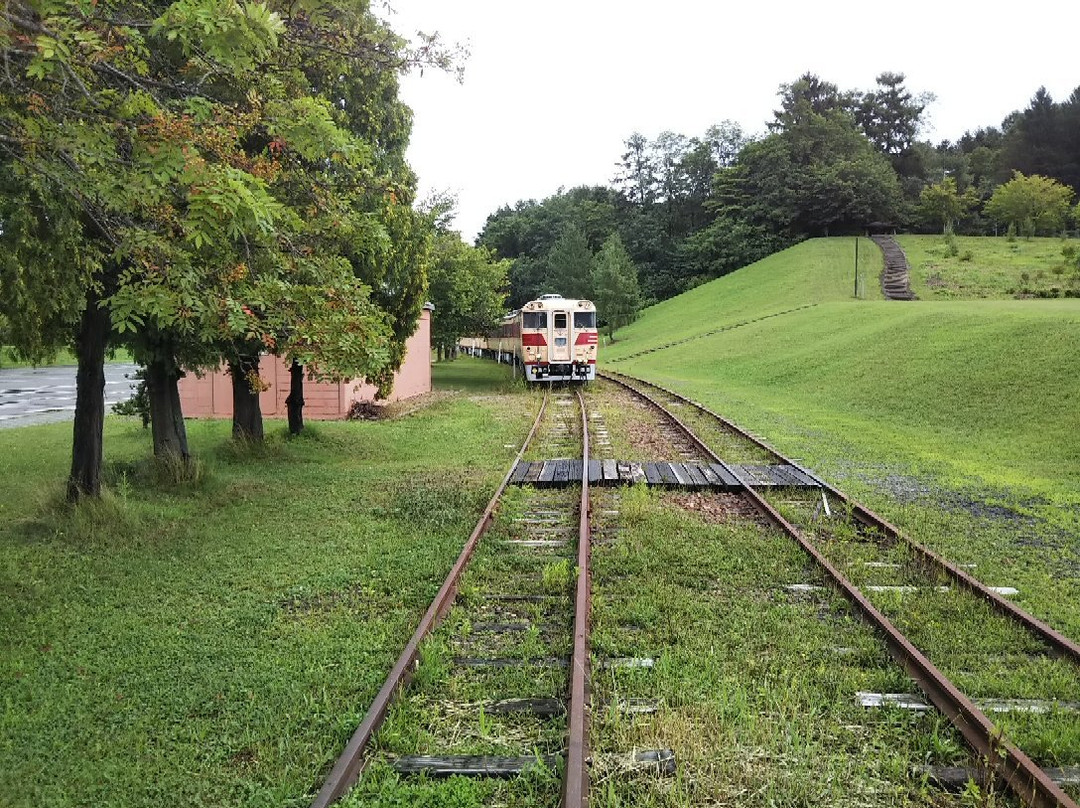 Crawford Park-三笠市必去景点