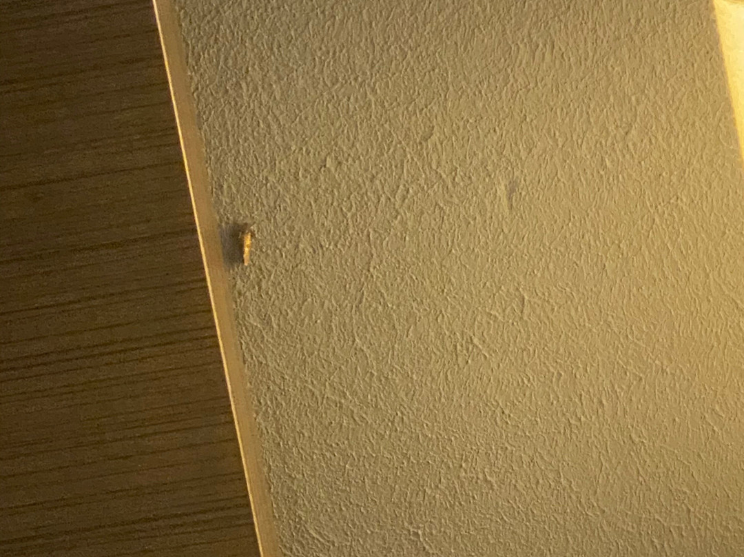 Best Western O'Hare/Elk Grove Hotel主图