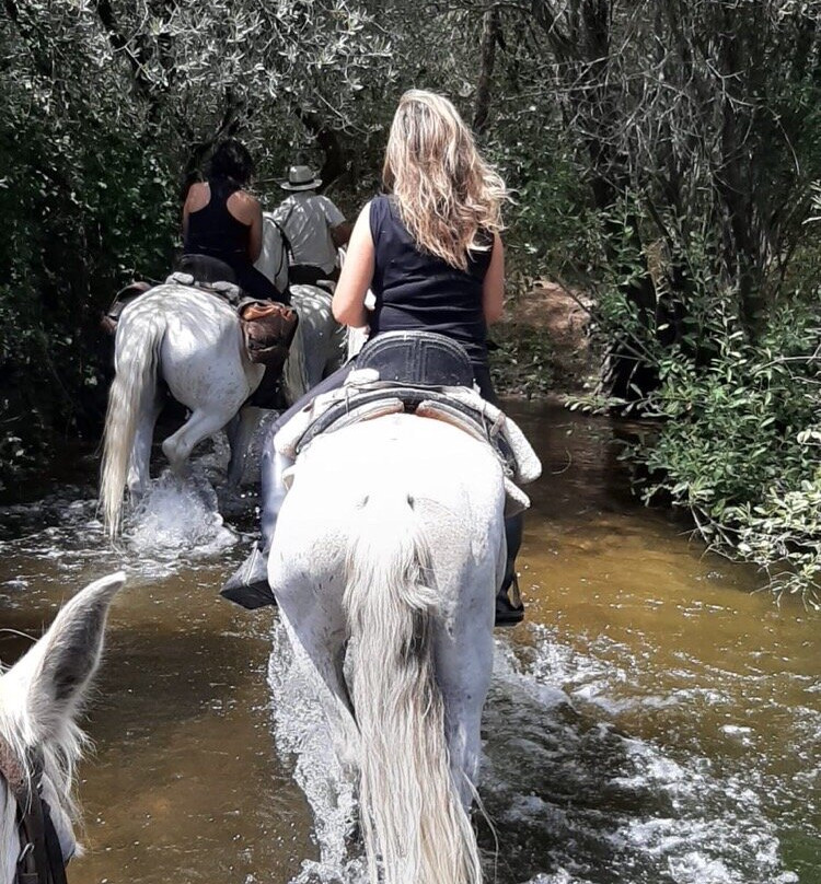 Caballos de la Ribera景点图片