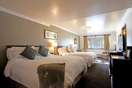 猛犸溪酒店主图