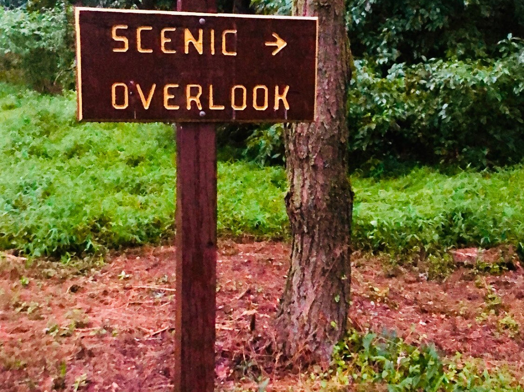 Neshaminy State Park景点图片