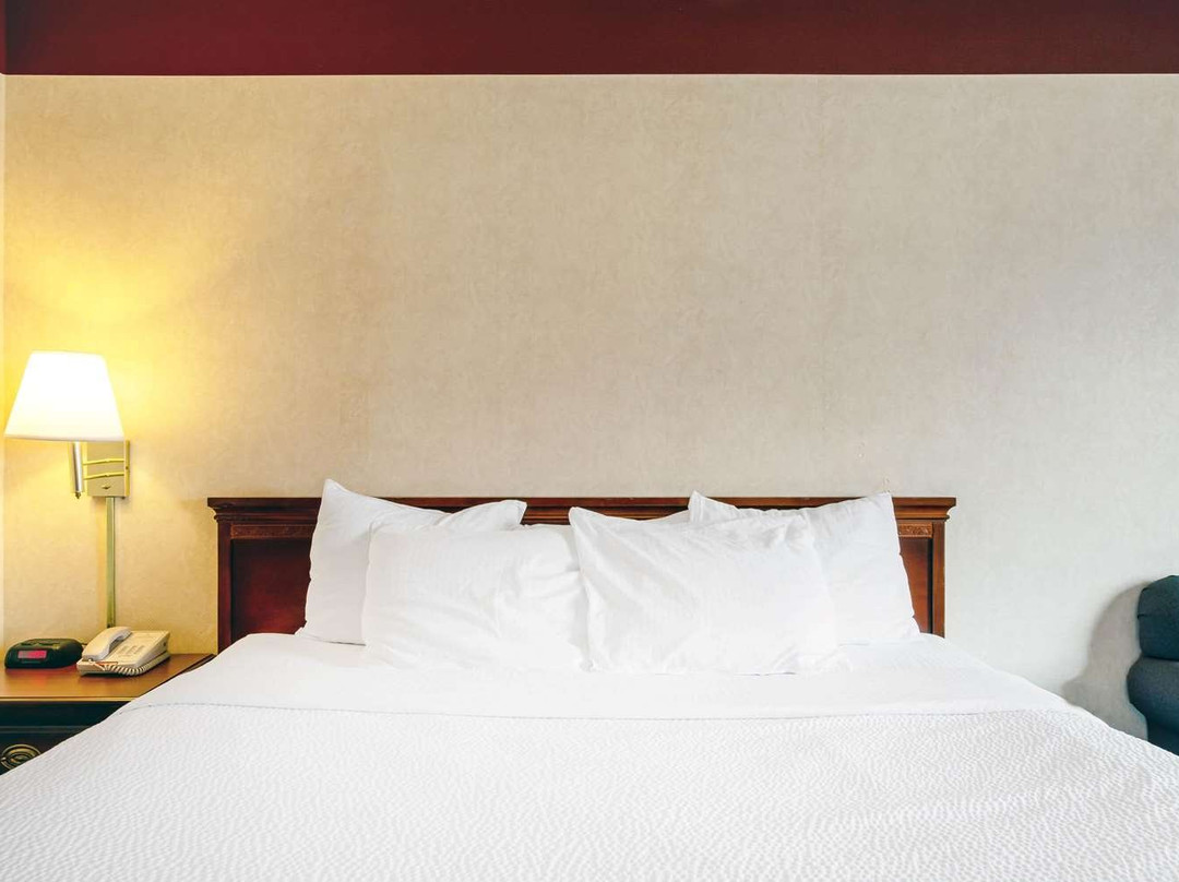 Holiday Inn Express South Burlington - Downtown By IHG主图