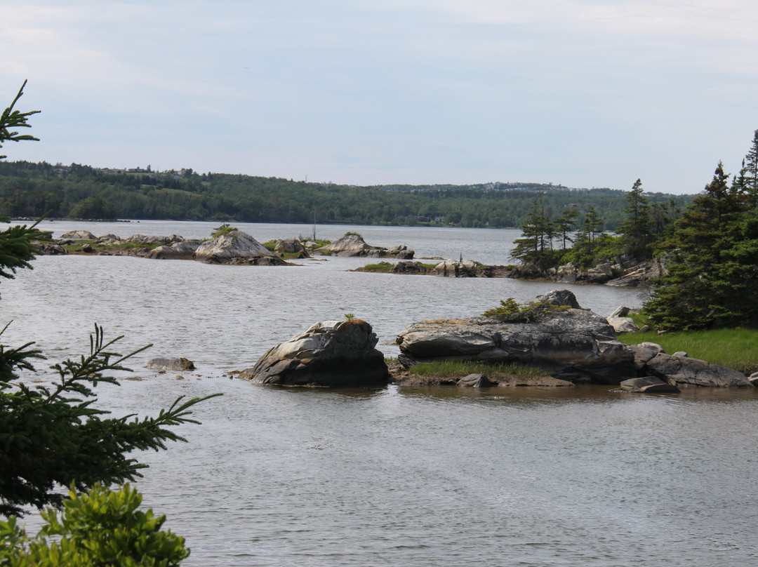 Salt Marsh Trail-Cole Harbour必去景点