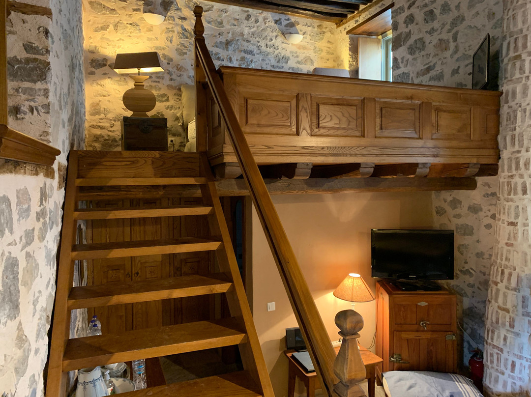 Cotommatae Hydra 1810主图