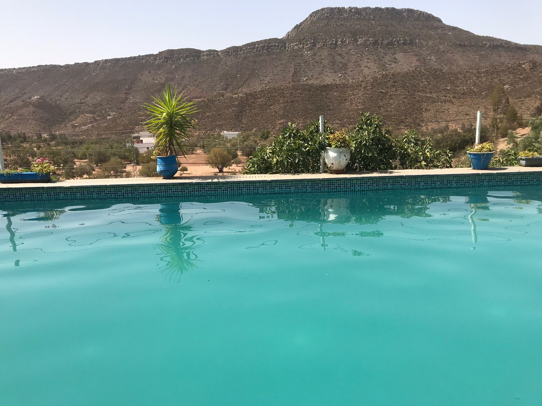 Riad de l'Olivier主图