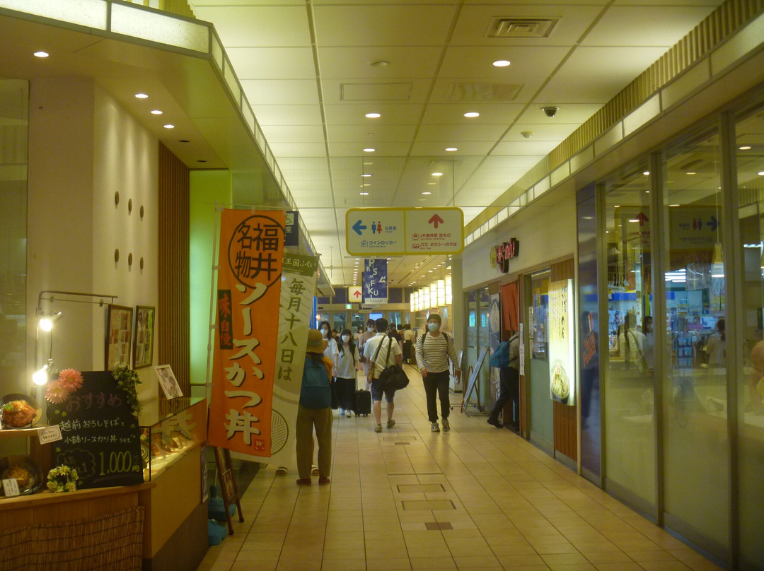 Prism Fukui景点图片