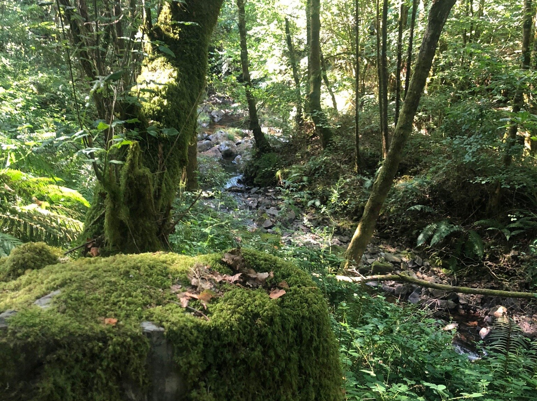 Ruta de La Cascada Seimeira景点图片