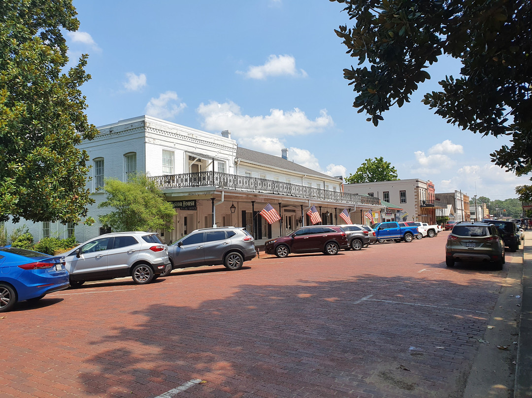 The Excelsior House主图