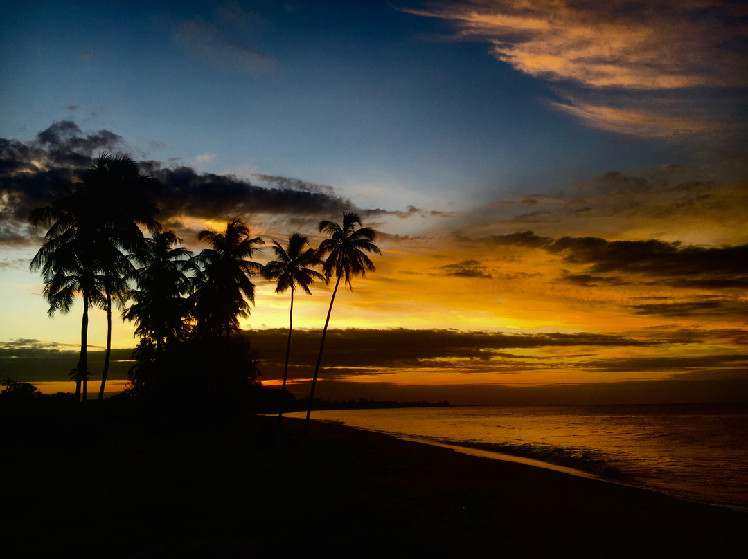 Kizito Tours-Dar es Salaam必去景点