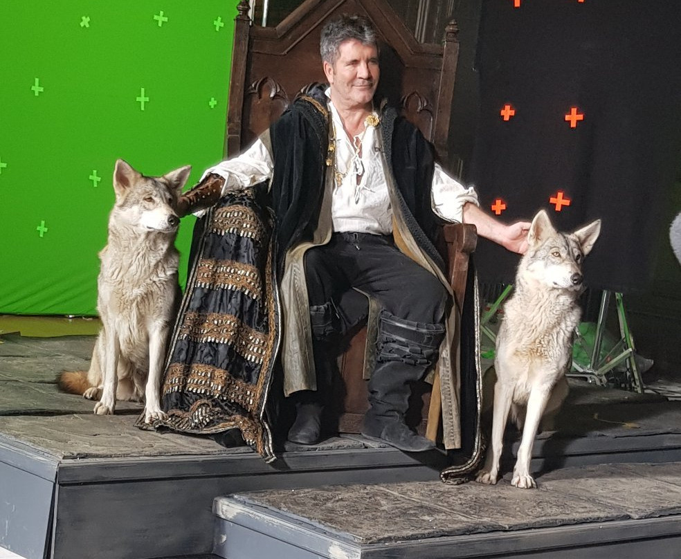 Watermill Wolves Wolf-dog Actors景点图片