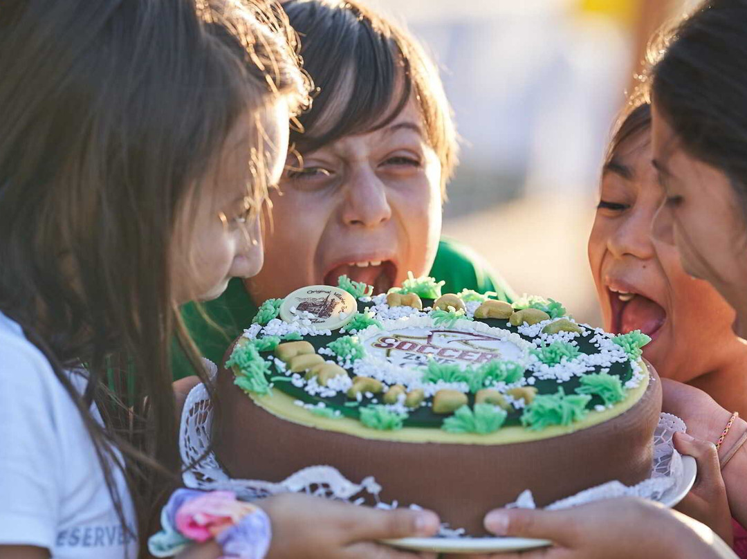 Soccerzone - Fussballgolf - Kärnten-菲拉赫必去景点