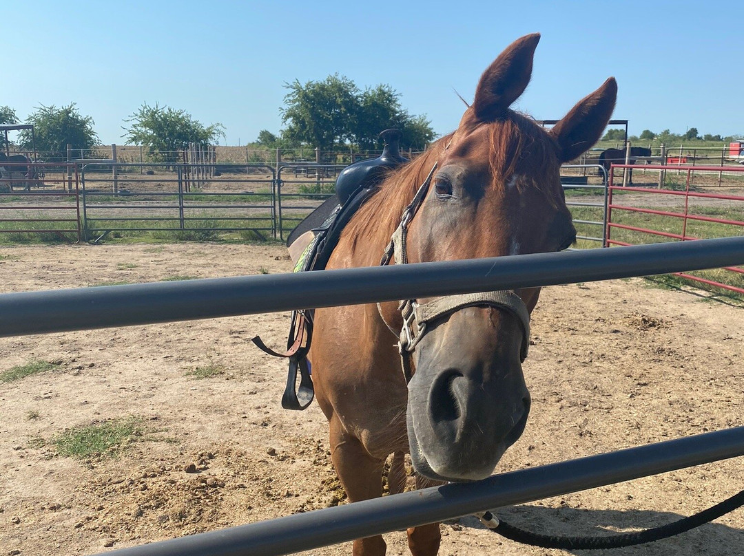 Tri-Star Farm-Hutto必去景点