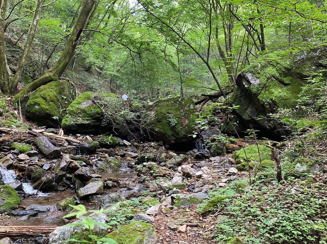 Rock Garden-青梅市必去景点