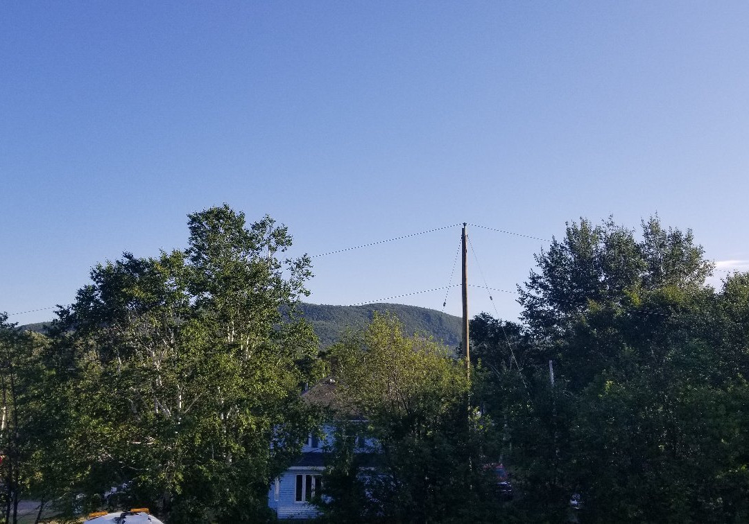 The Island Inn主图