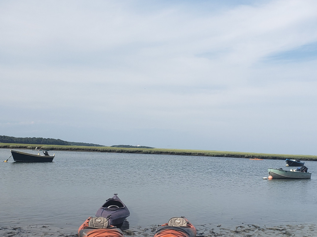 Cape Marsh Kayaking景点图片