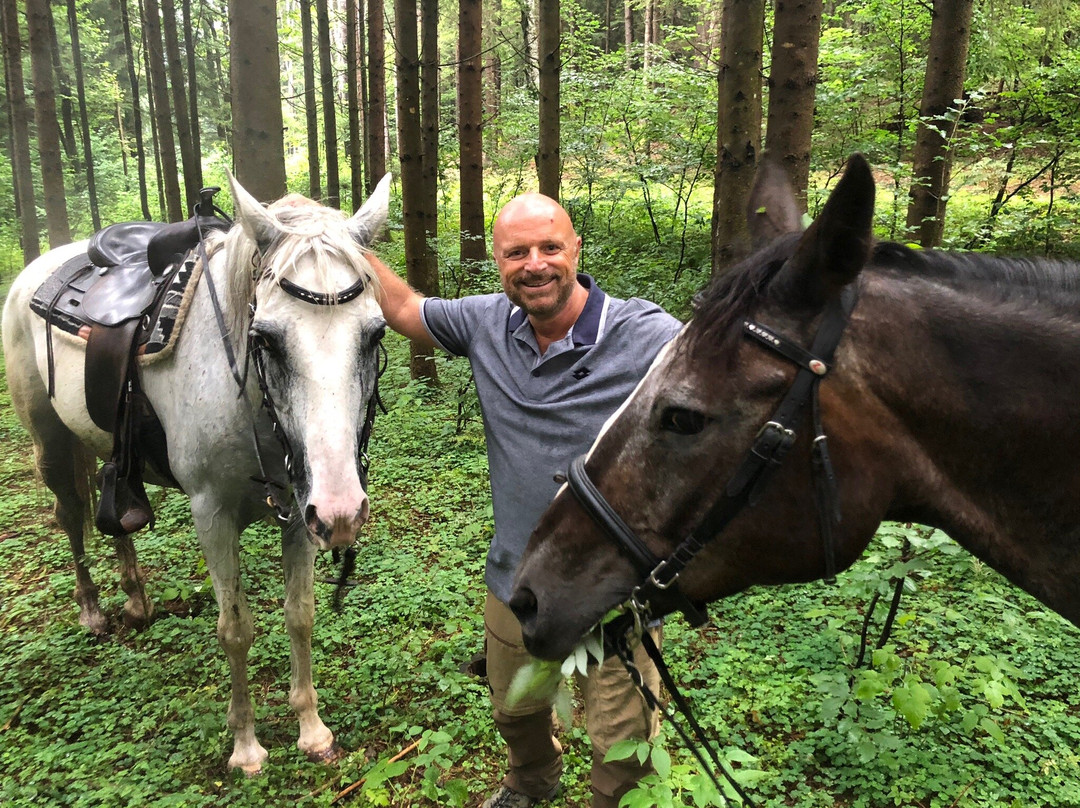 Garnì Villa Lory主图