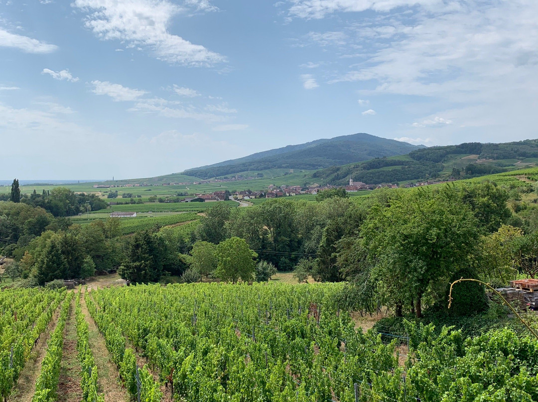 Cycl'Hop-奥贝奈必去景点