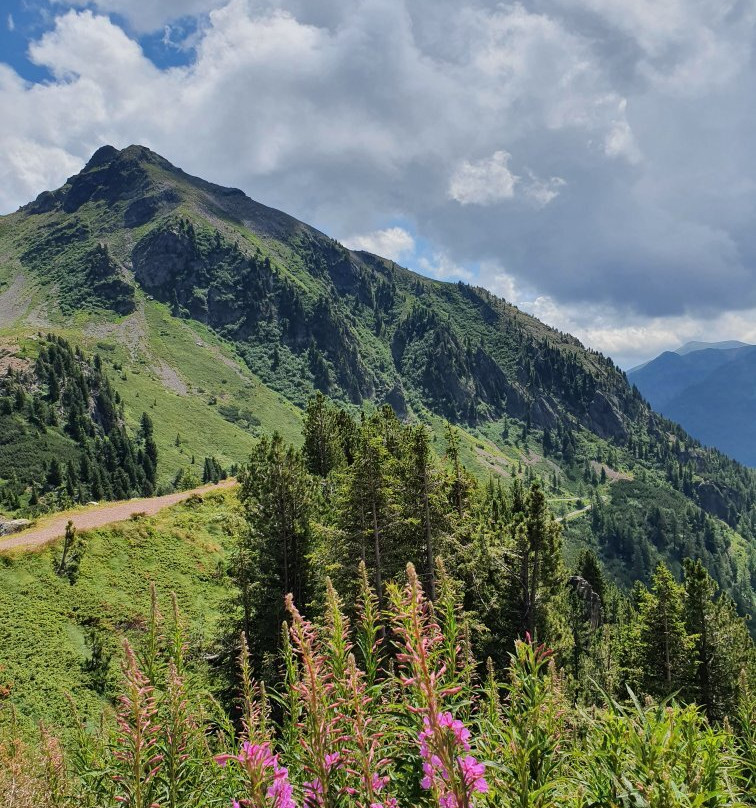 Strada Del Passo Manghen景点图片