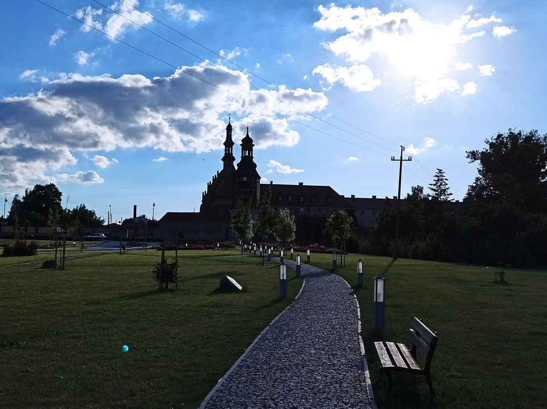 Kazimierski Park Kulturowy景点图片