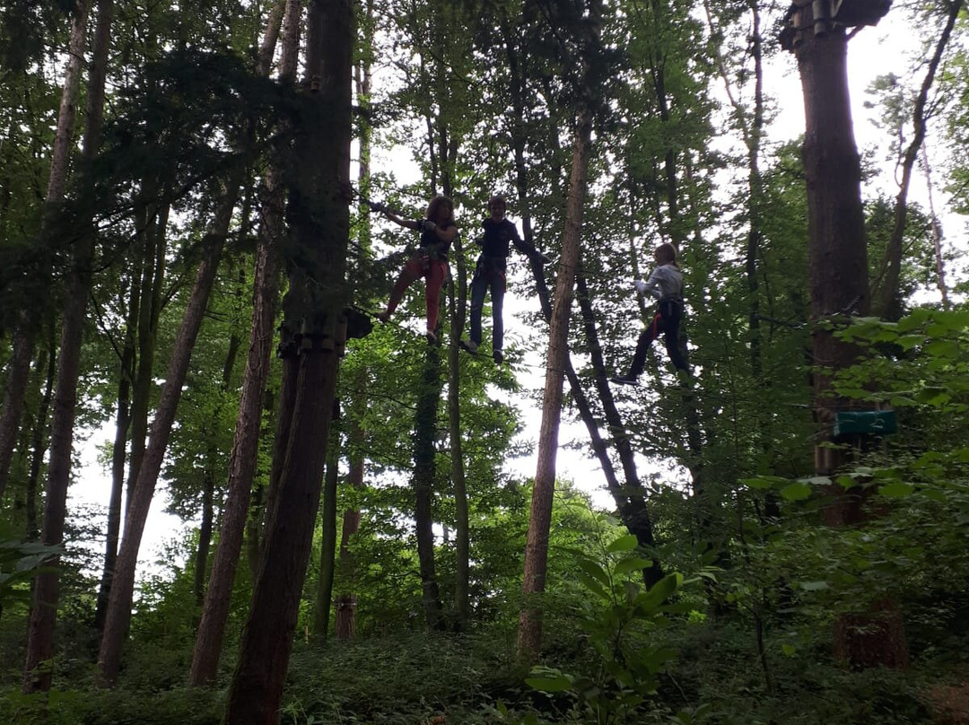 Adrenature Parc Aventure-Melgven必去景点