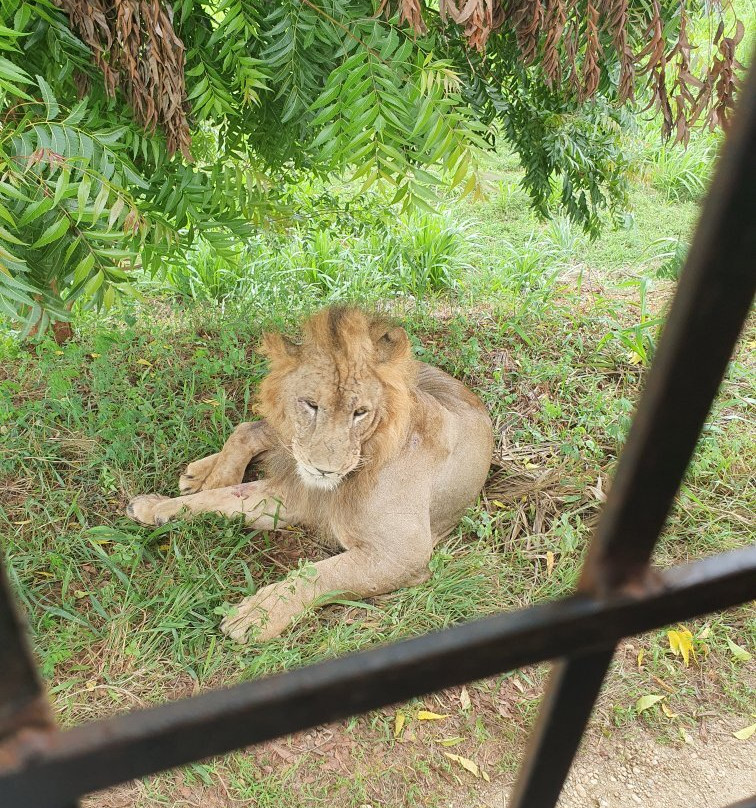 Ridiyagama Safari Park景点图片