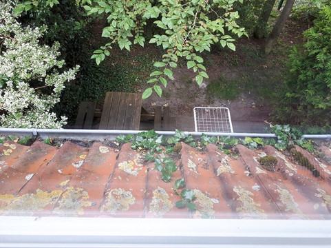 弗雷斯朗斯特恩酒店主图