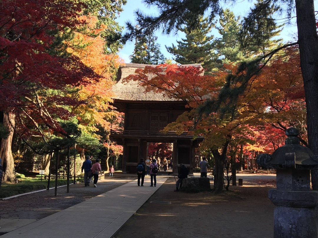 Heirin-ji Temple-新座市必去景点