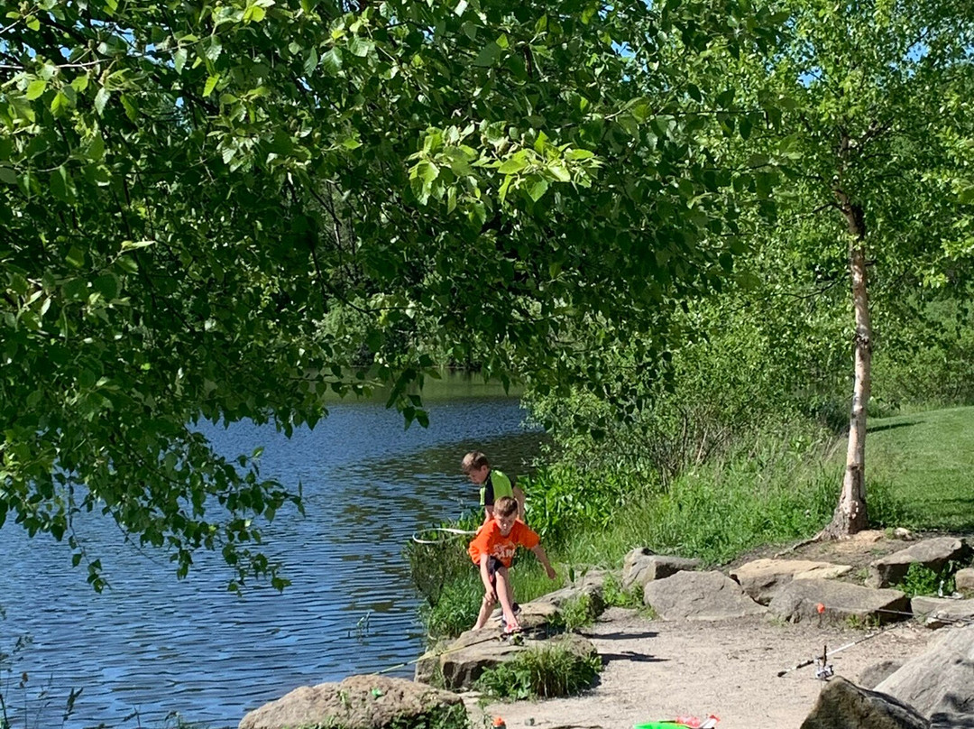 Medina旅游景点-Buckeye Woods Park