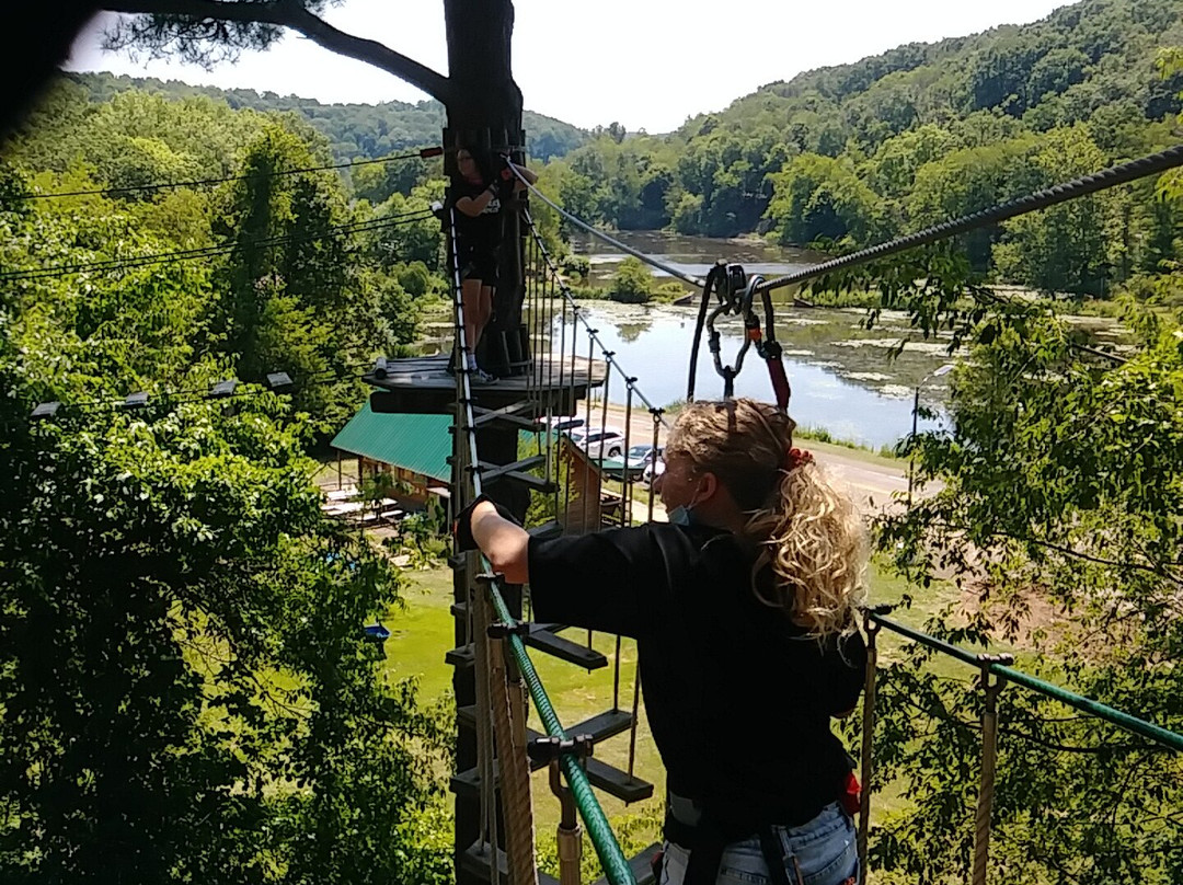 Go Ape Zipline & Adventure Park景点图片