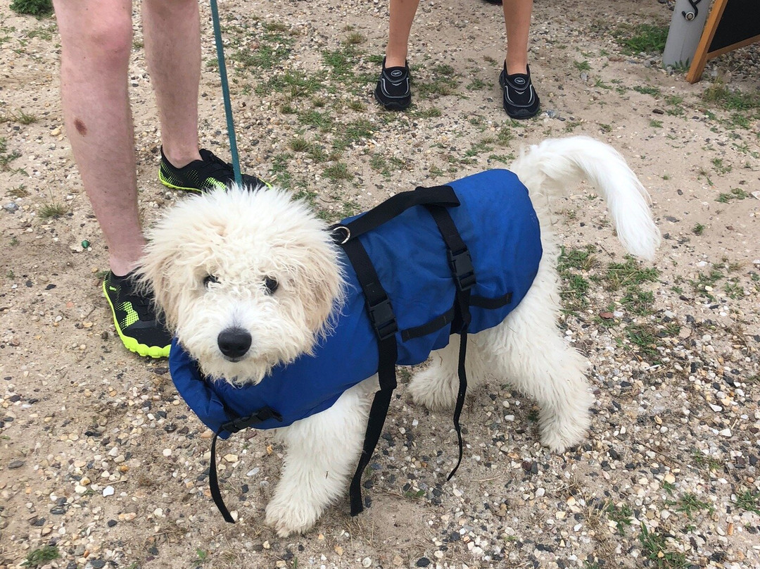 Adventure Paddleboards & Kayaks-汉普顿海湾必去景点