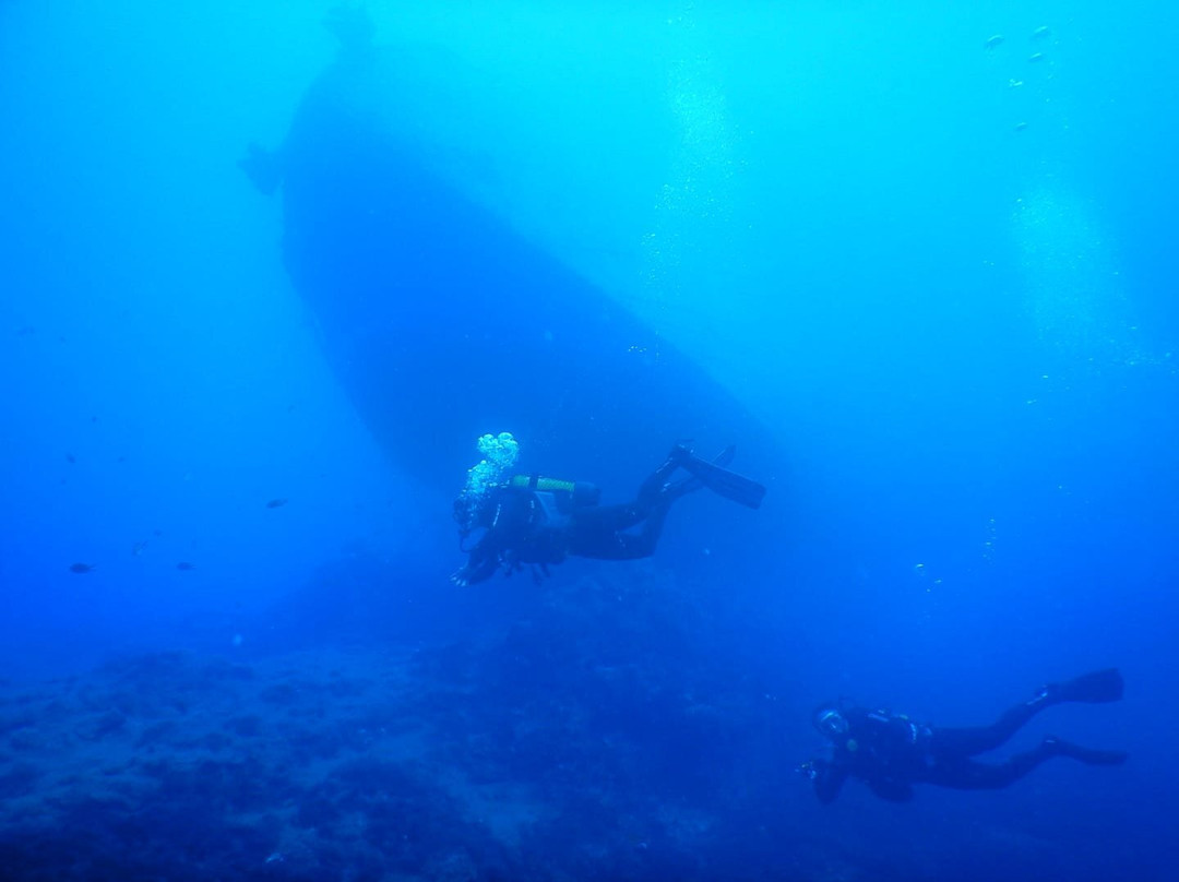 Alisios Sub Centro de Buceo-卡门港必去景点