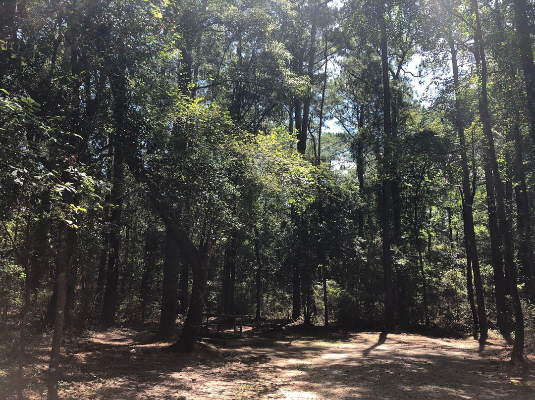 Chickasabogue Park Alabama-莫比尔必去景点