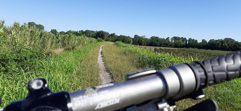 Bibione - Ciclabile del Tagliamento景点图片