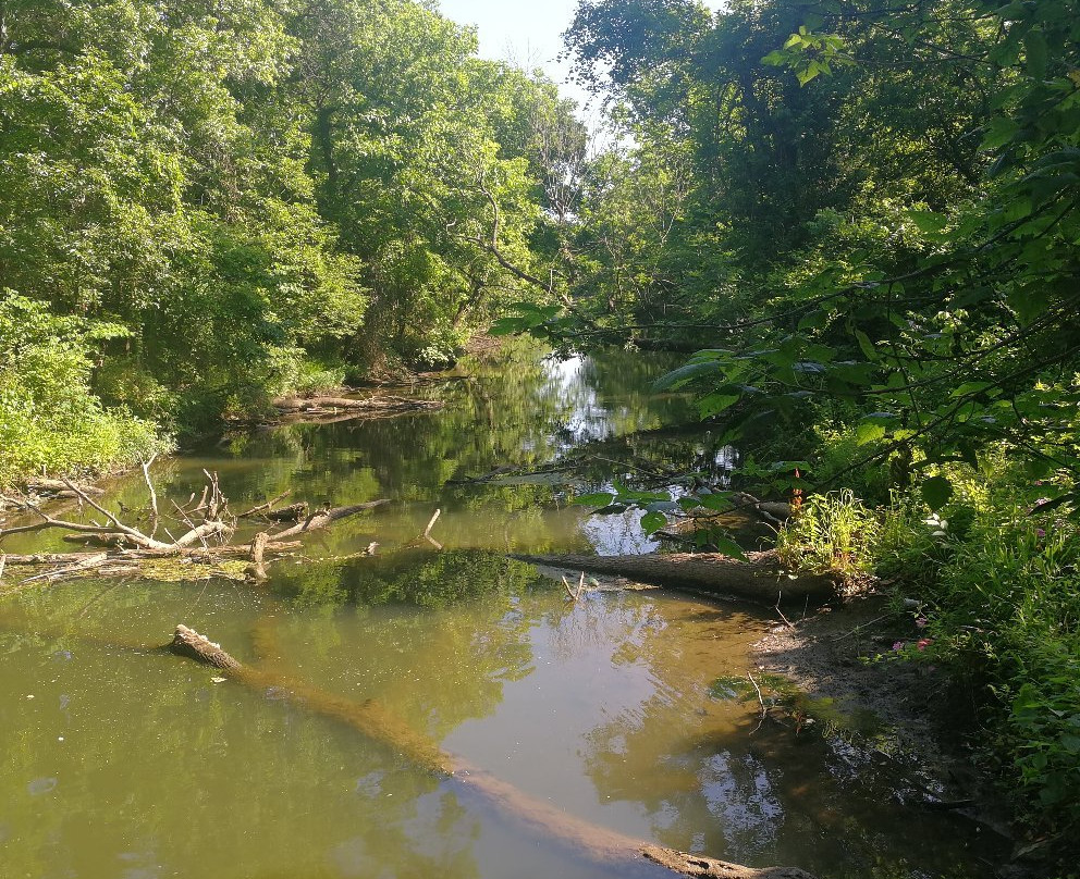 Mohawk Park-塔尔萨必去景点