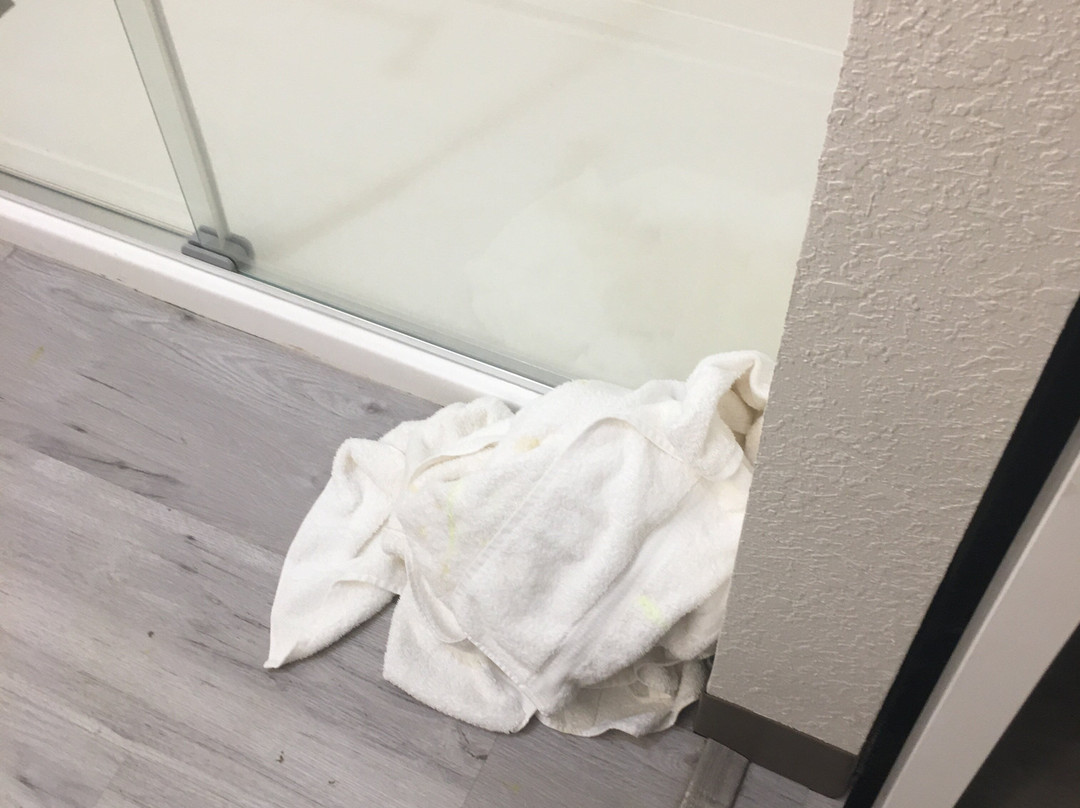 Four Points By Sheraton Alexandria主图